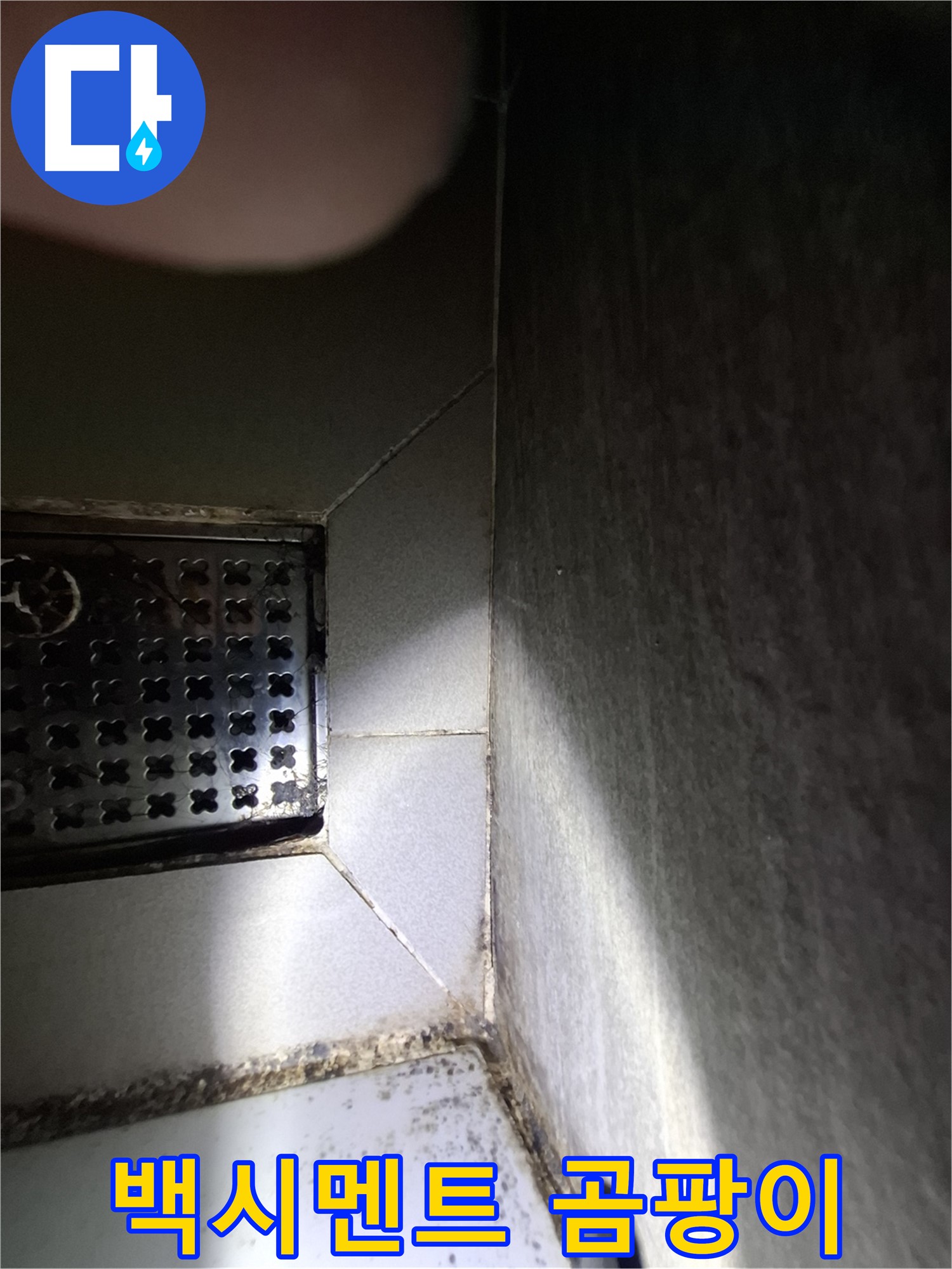 욕실 배수구 주변 백시멘트 들뜸과 곰팡이 초기 발견 - 초기 발견이 중요합니다.