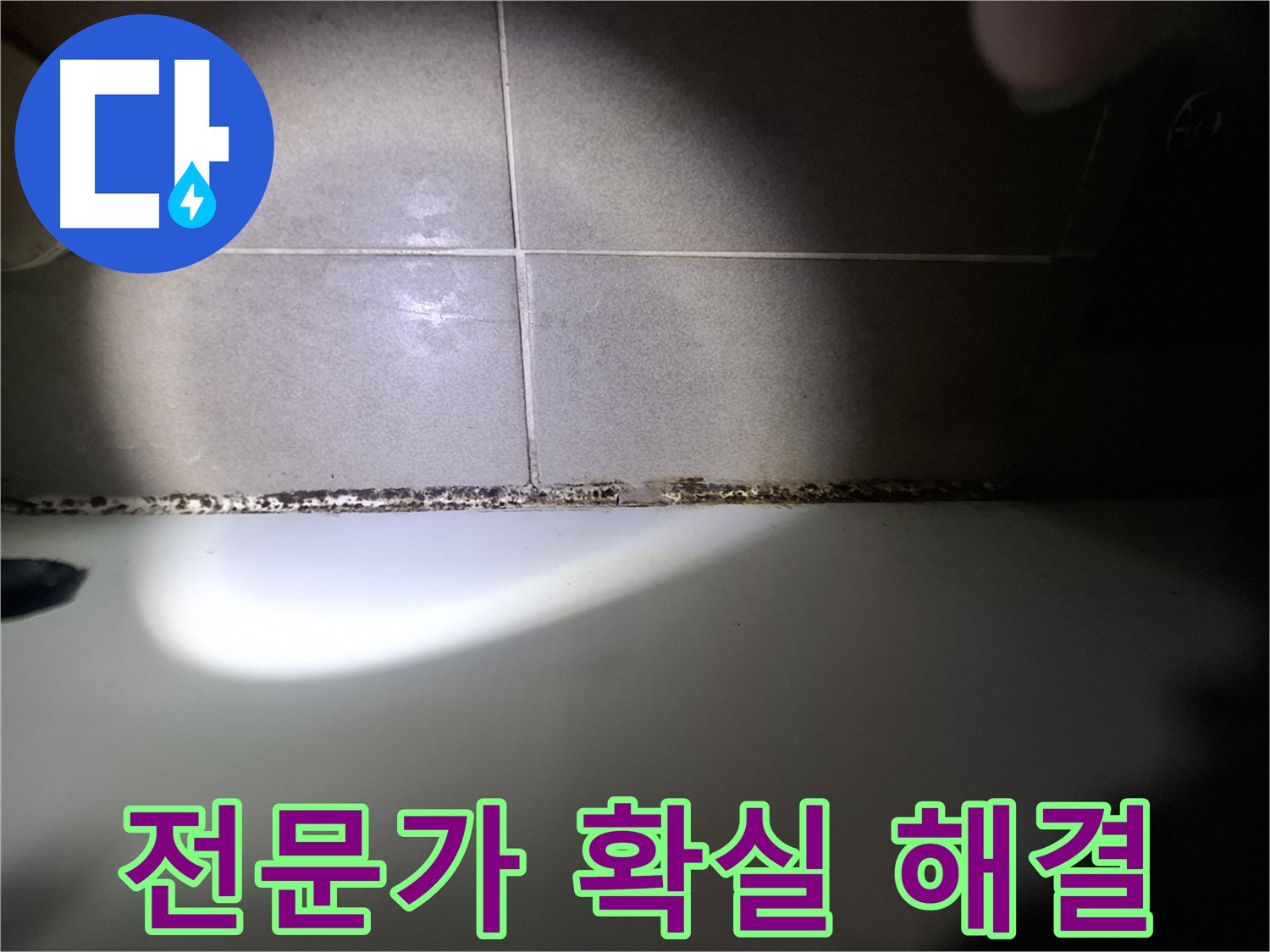 욕조 곰팡이 - 곰팡이 고민, 전문가가 확실하게 해결!