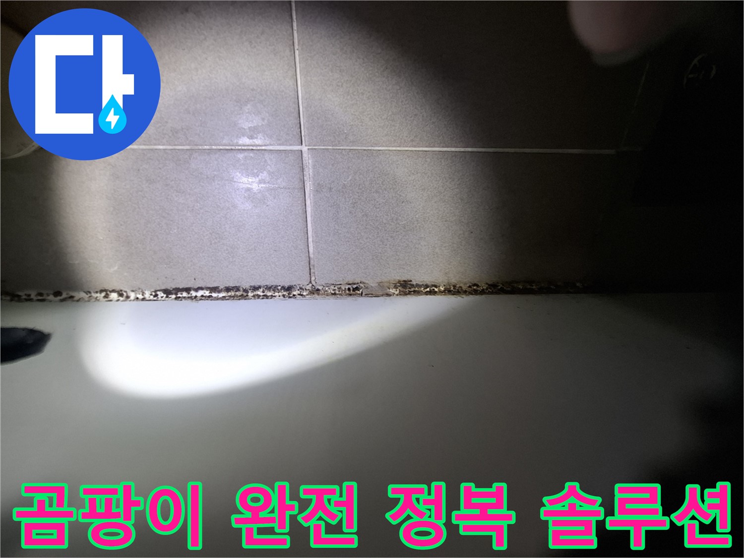 욕조 곰팡이 - 곰팡이 완전 정복을 위한 맞춤 솔루션 제공