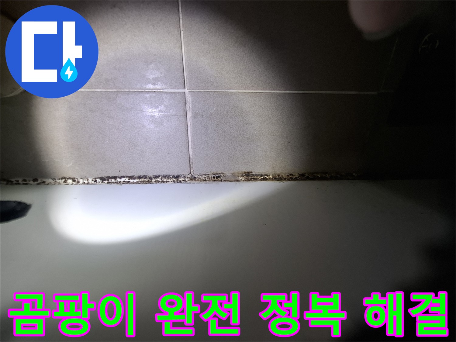 욕조 곰팡이 - 곰팡이 완전 정복을 위한 맞춤 솔루션 제공