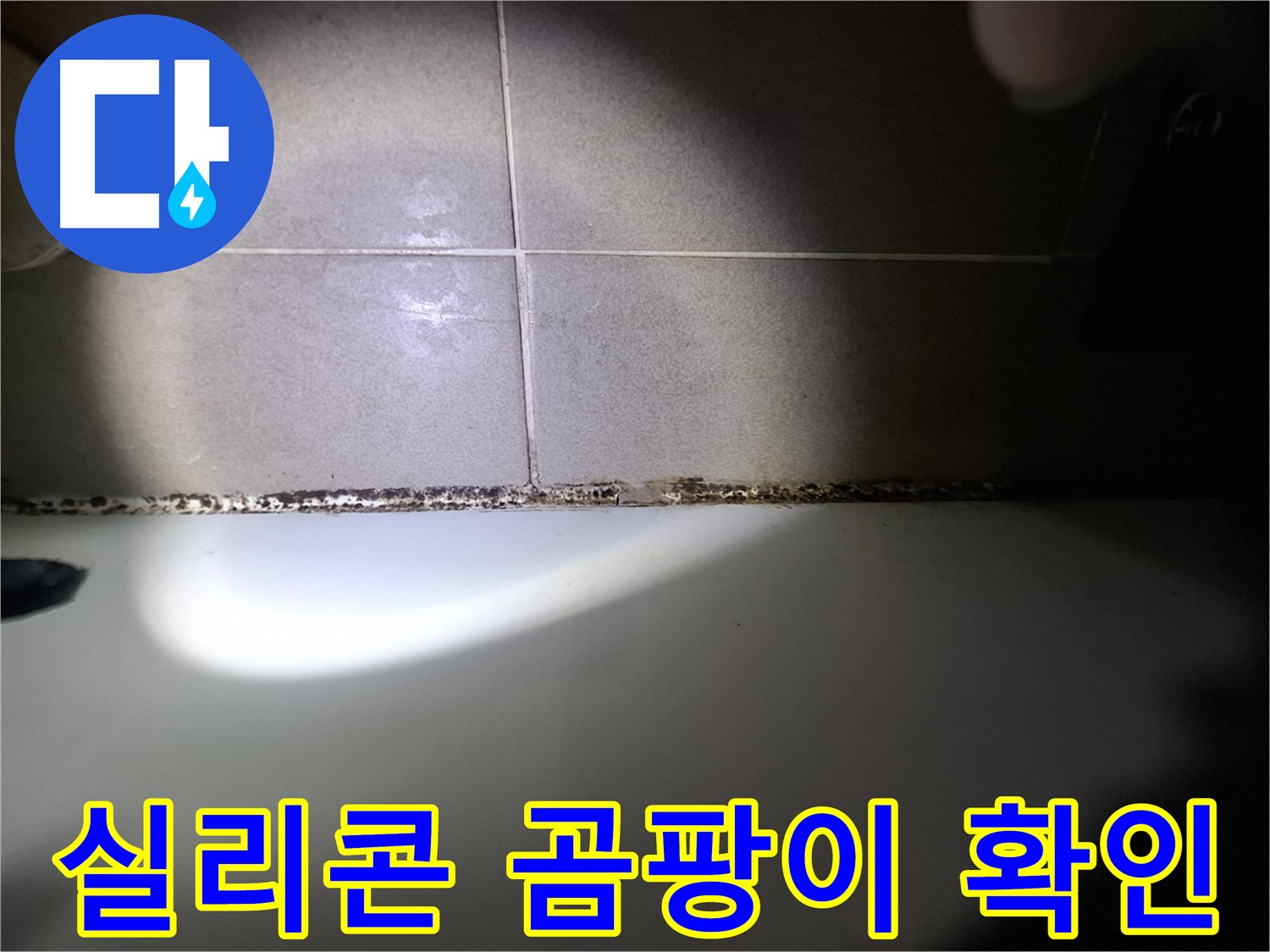 욕조 실리콘 곰팡이 - 상태 확인 - 누수 의심