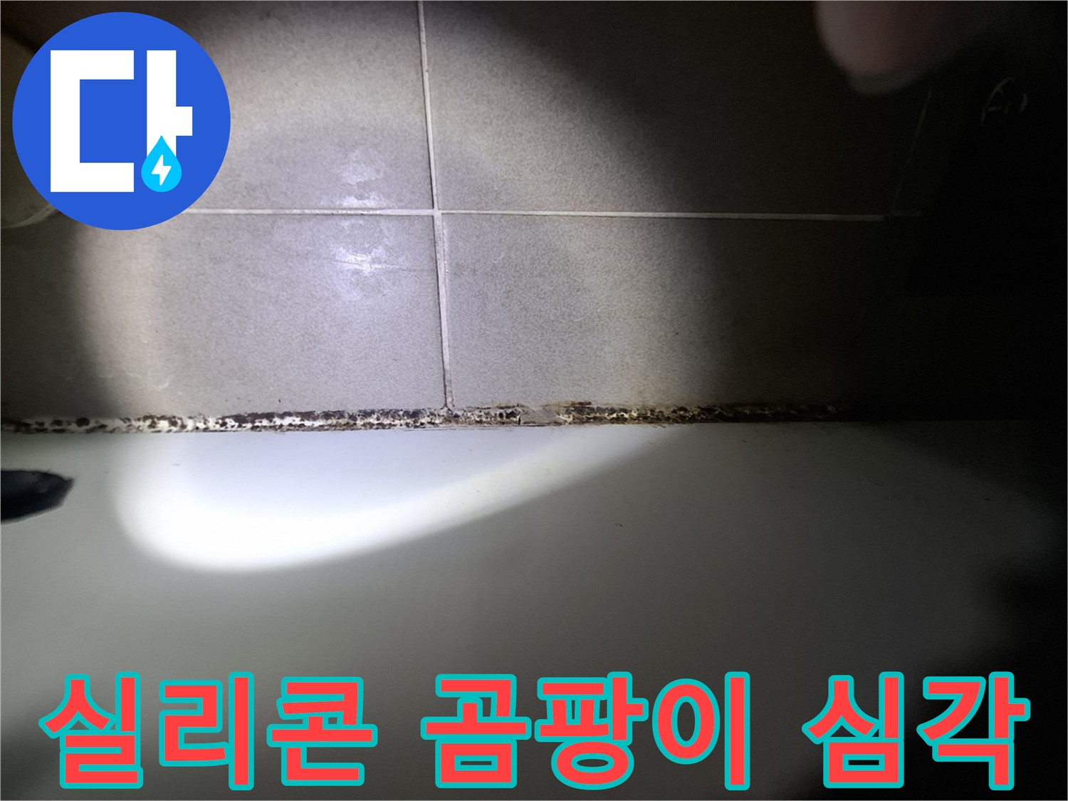 욕조 실리콘 곰팡이 - 심각한 상태 - 긴급 점검 필요