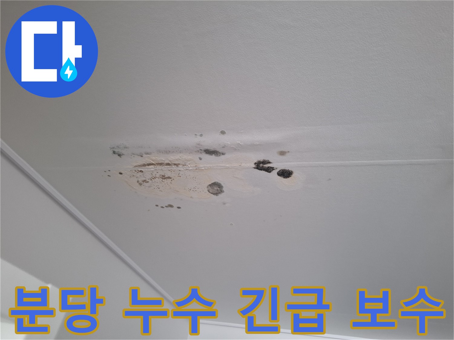 천장 누수 - 긴급 보수, 곰팡이 제거로 쾌적하게