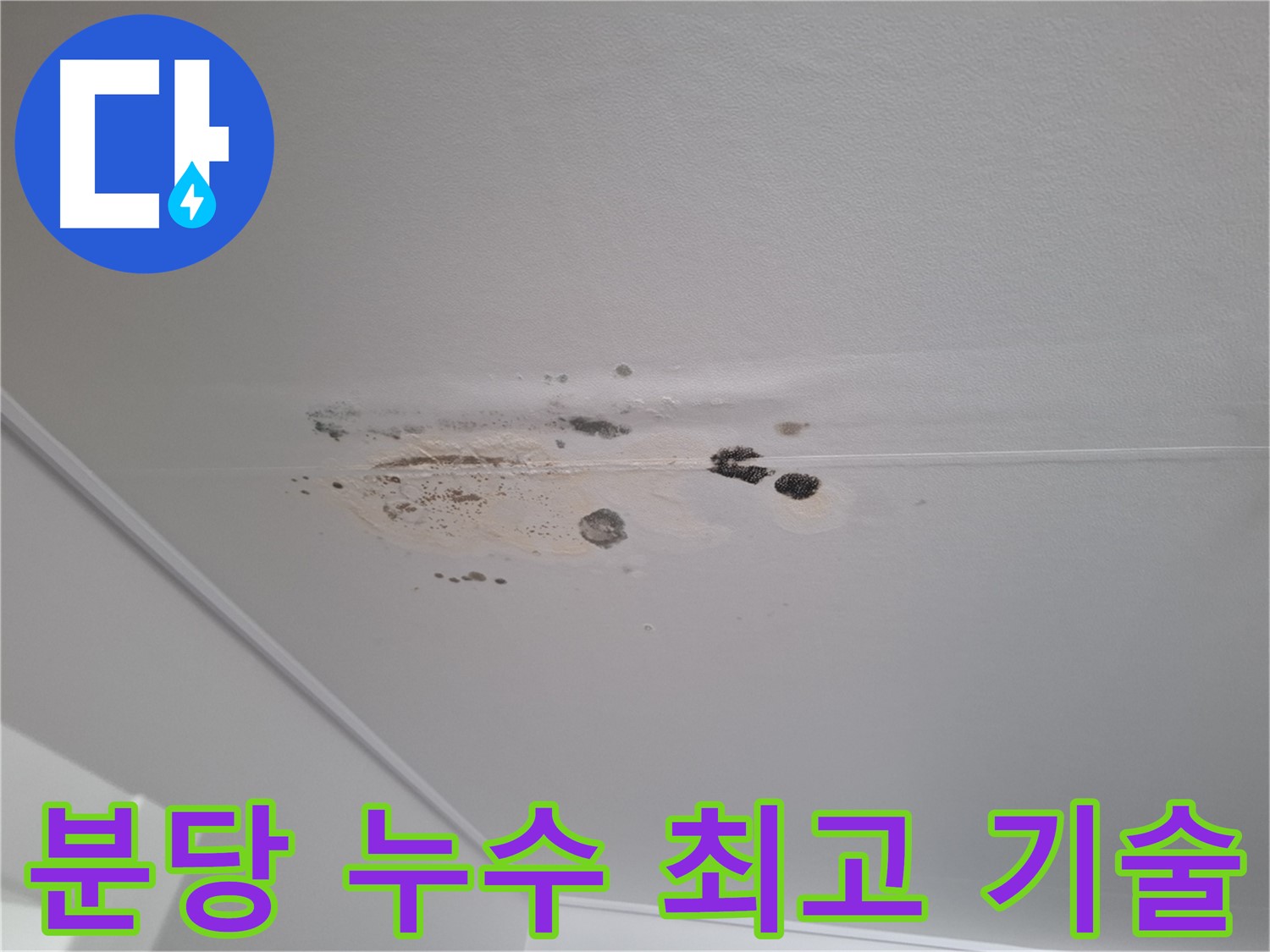 누수 해결 - 최고의 기술력으로 완벽하게 해결합니다