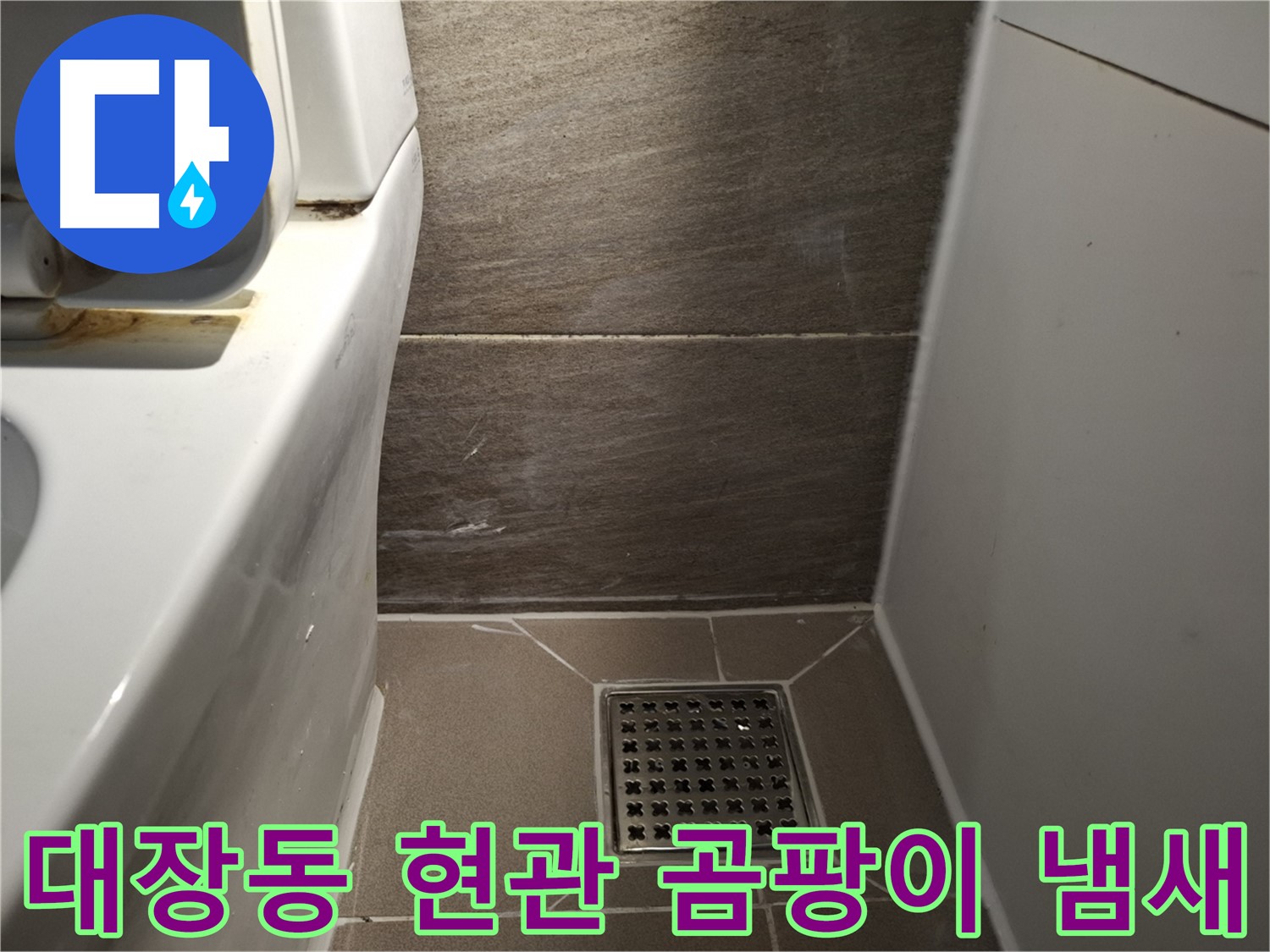 판교 대장동 현관문 주변 벽 곰팡이 냄새 - 빗물 누수 의심