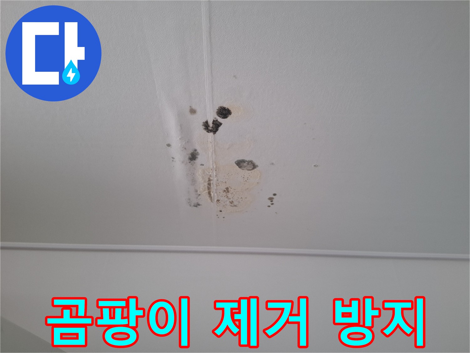 판교 봇들마을 봇들마을2단지 아파트 - 천장 누수로 인한 곰팡이 제거 및 재발 방지 시공.