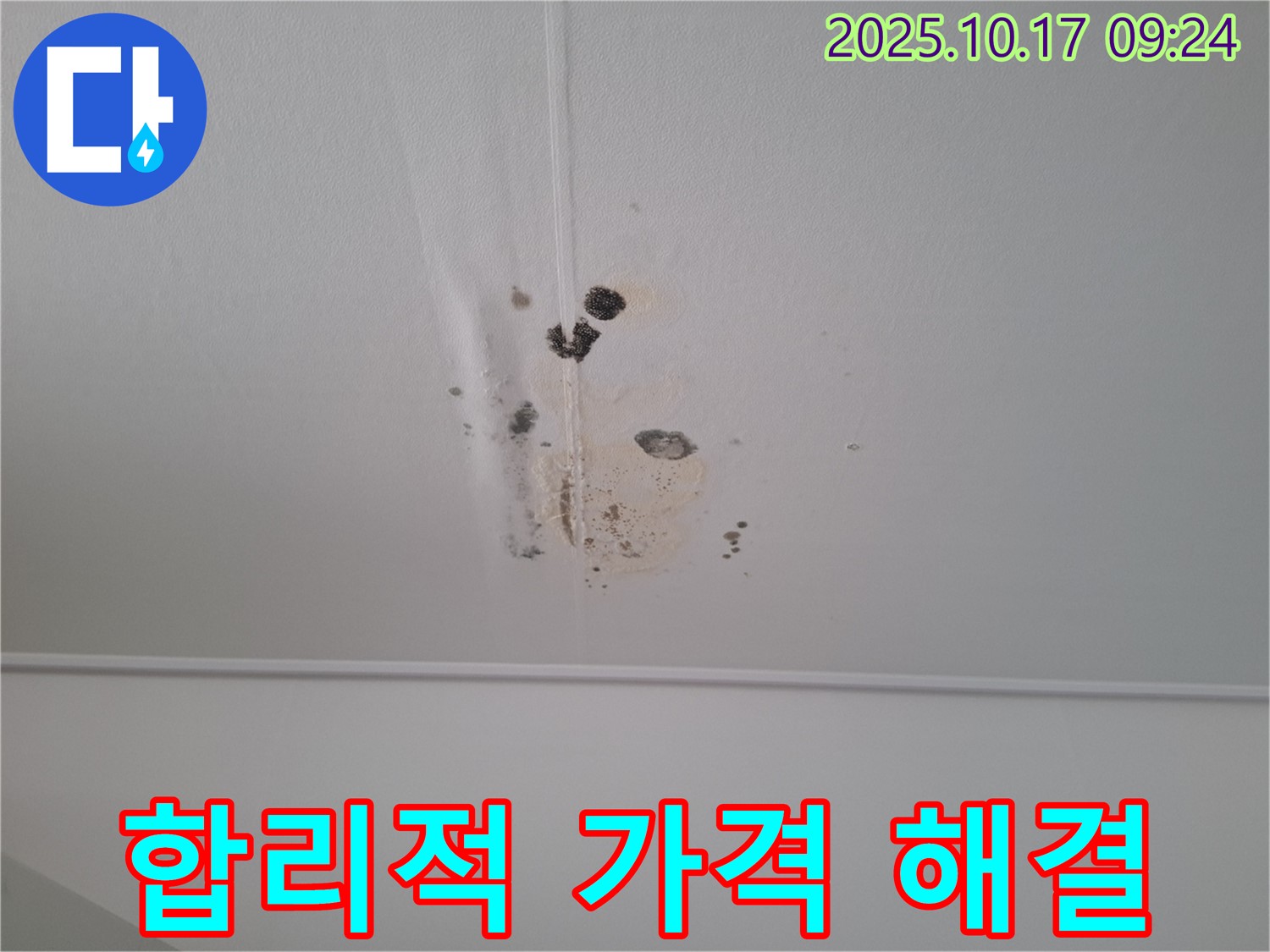 판교 봇들마을 아파트 천장 누수 - 곰팡이 문제 합리적인 가격으로 해결