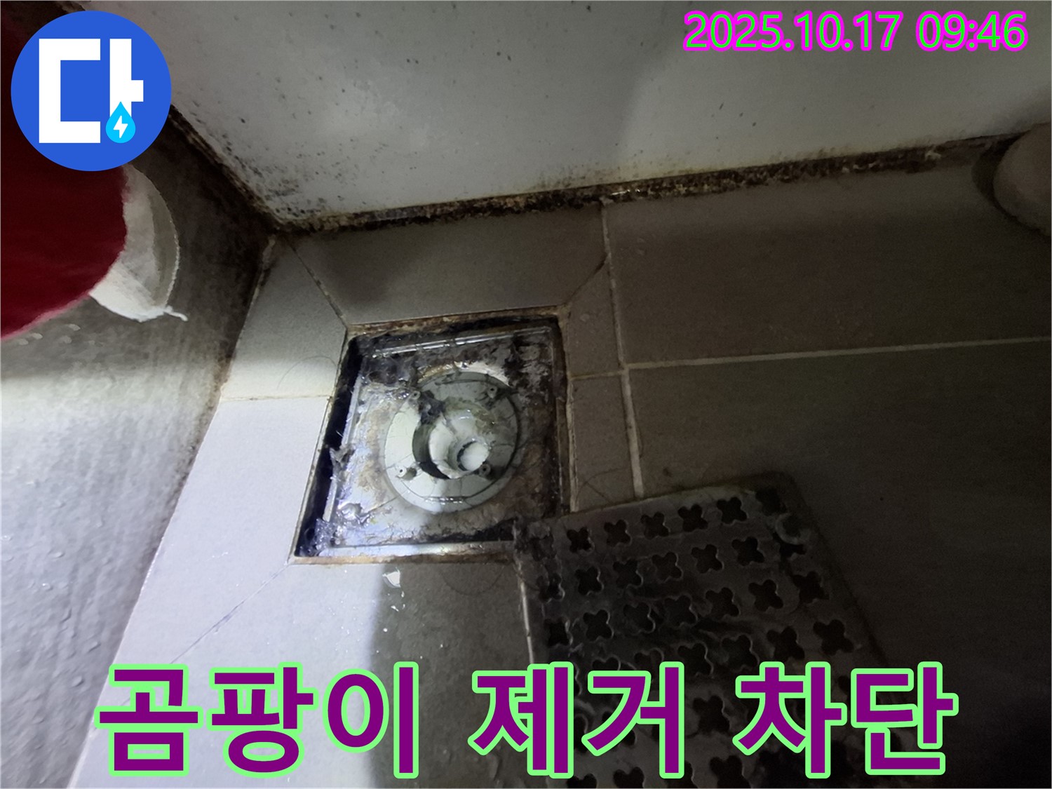 판교 봇들마을2단지 아파트 욕실 배수구 곰팡이 제거 - 누수 완벽 차단 시공 - 쾌적한 욕실 환경을 만들어 드립니다.