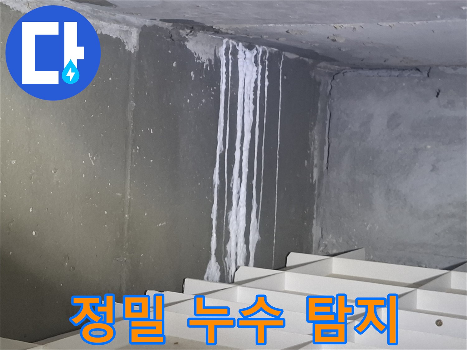 판교 봇들마을2단지 아파트 - 지하 석회 누수, 정밀 누수 탐지 진행!