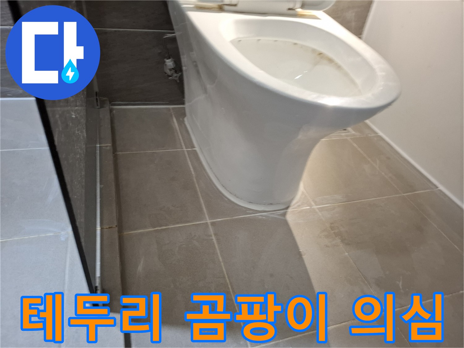 판교 삼평동 봇들마을 - 변기 테두리 곰팡이, 누수 의심 점검