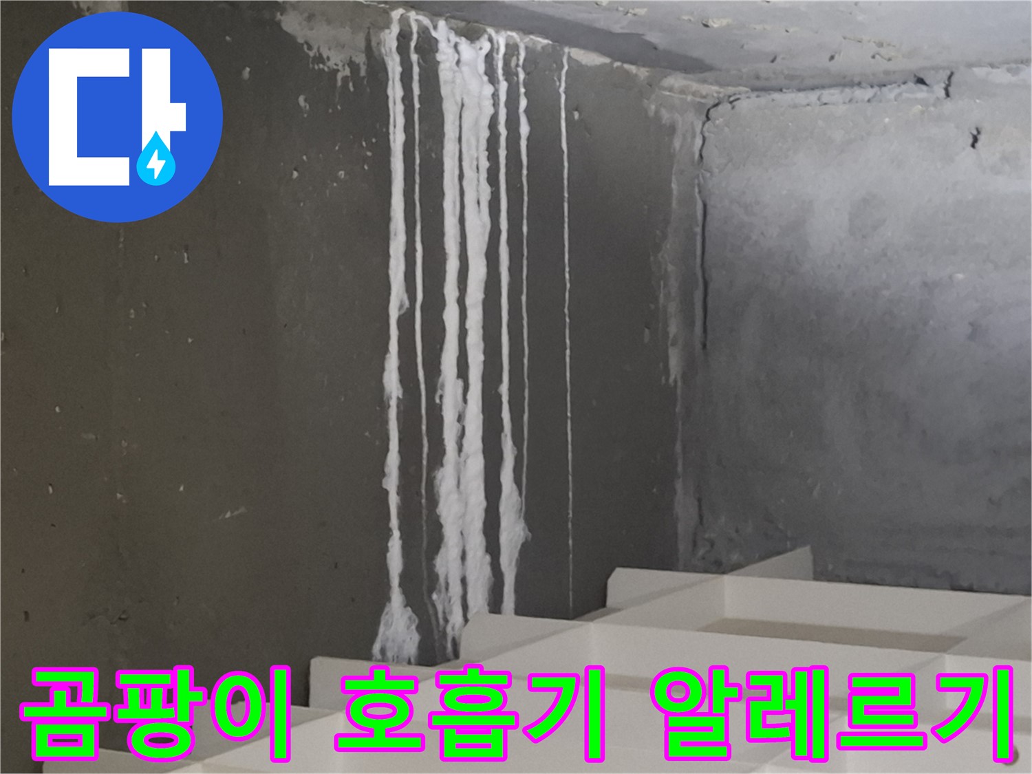 판교 삼평동 봇들마을 아파트 - 계단 '하얀 곰팡이' 누수는 호흡기 질환과 알레르기를 유발할 수 있습니다.