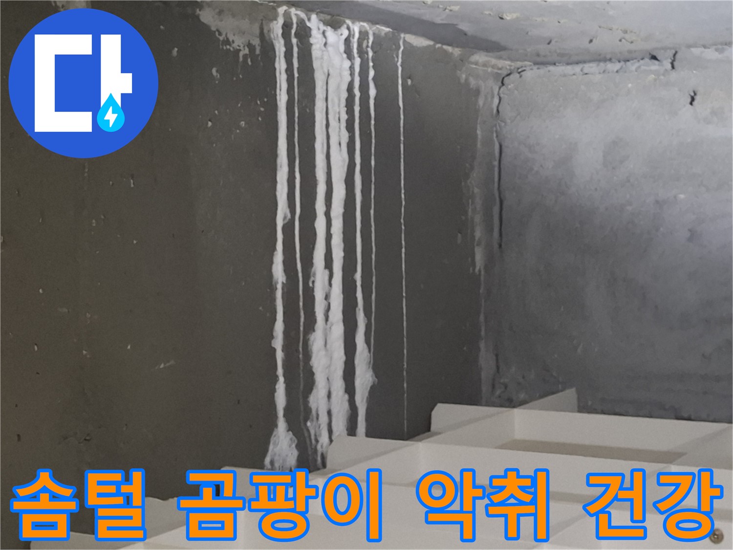 판교 삼평동 봇들마을 아파트 - 계단 '하얀 솜털' 누수는 곰팡이와 악취를 유발하고 건강을 위협합니다.