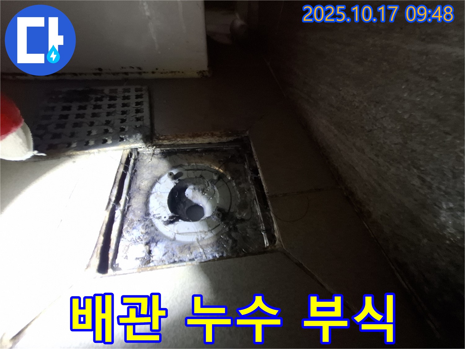 판교 삼평동 봇들마을 - 욕실 배수구 주변 배관 연결 부위 누수 흔적 및 부식 상태를 꼼꼼하게 점검하고 있습니다.