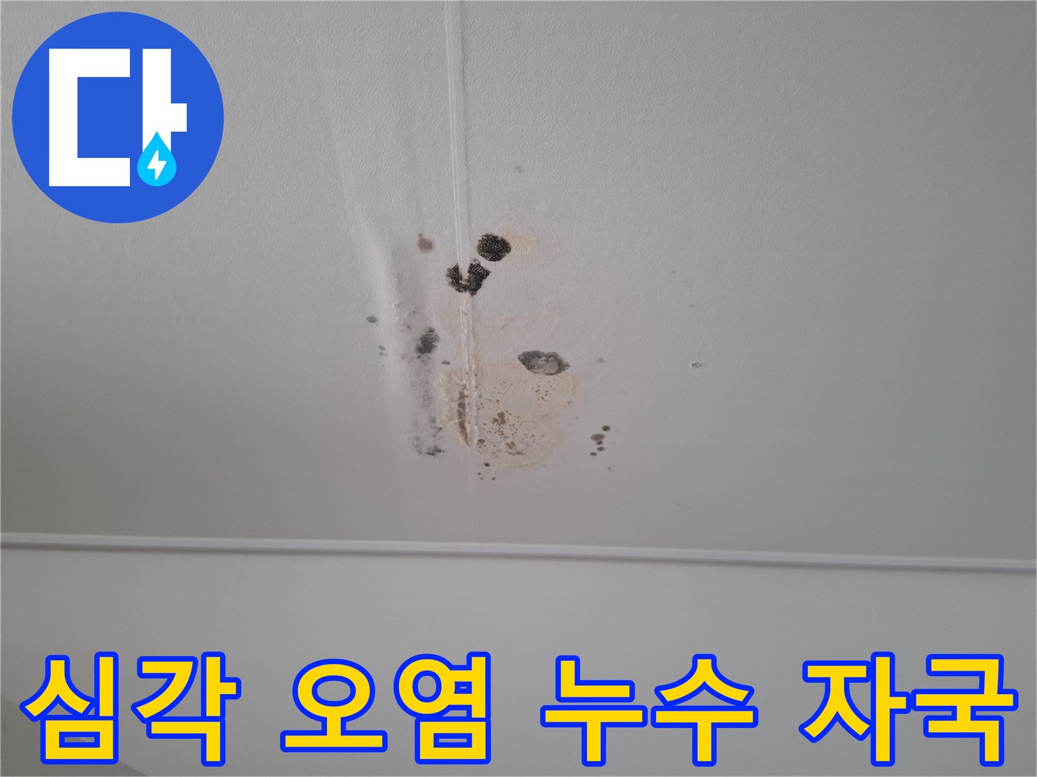 판교 삼평동 봇들마을2단지 아파트 - 심각한 오염과 누수 자국 - 빠른 조치가 필요합니다.