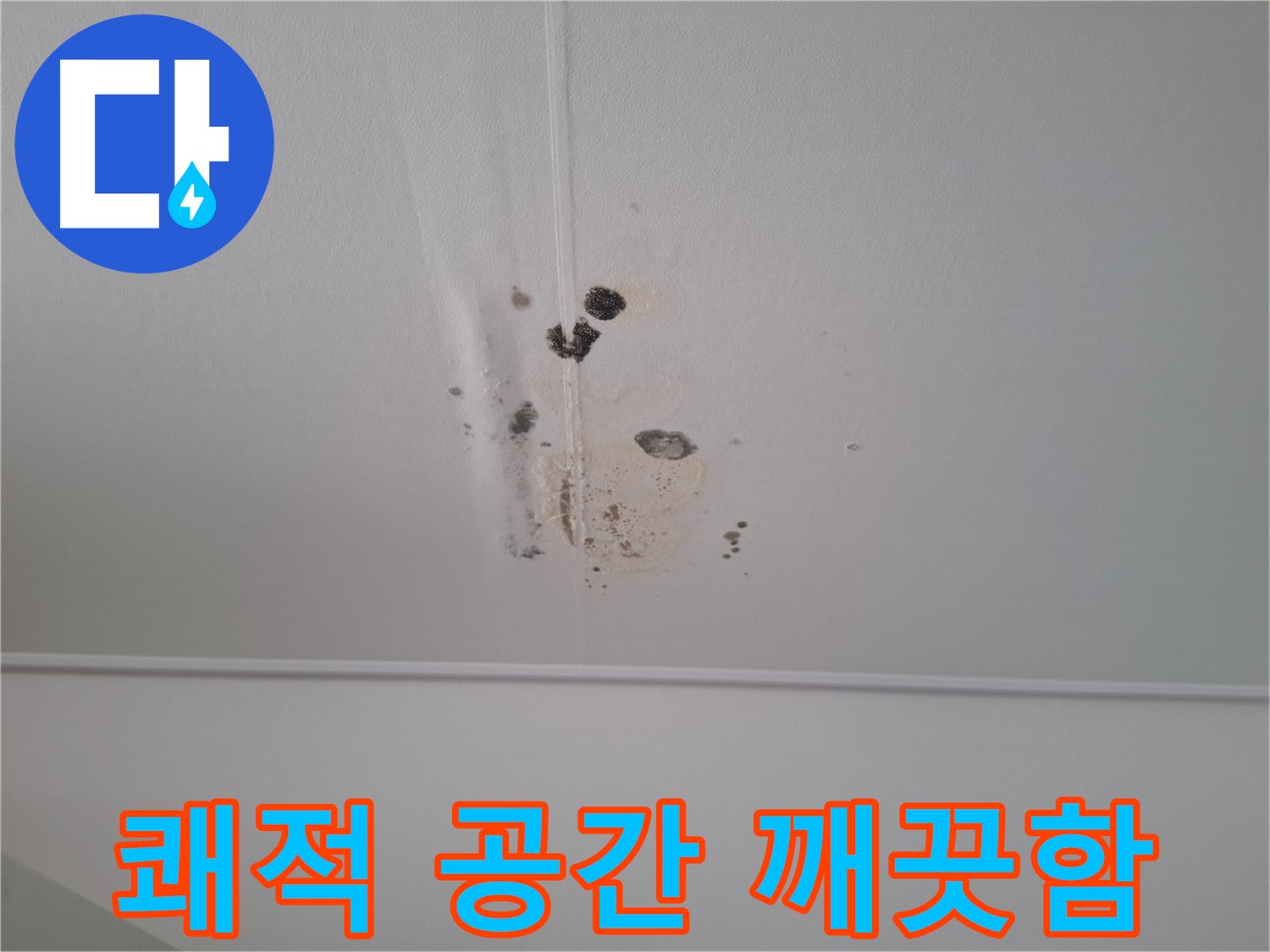 판교 삼평동 봇들마을2단지 아파트 - 쾌적한 공간을 만들어 드립니다 - 곰팡이 없는 깨끗한 환경에서 생활하세요.