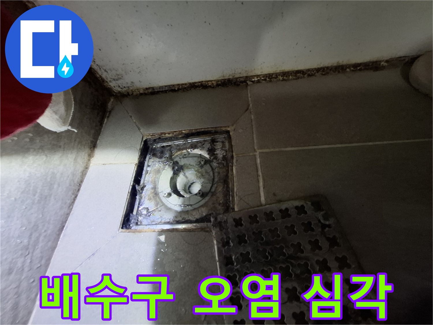 판교 삼평동 봇들마을2단지 욕실 - 배수구 오염 심각, 누수 의심