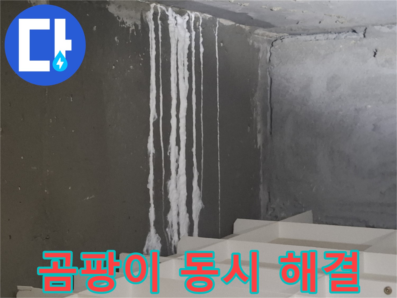 판교 아파트 누수 - 백화현상과 곰팡이 동시 해결! 누수 문제와 곰팡이 걱정을 한 번에 해결하세요.