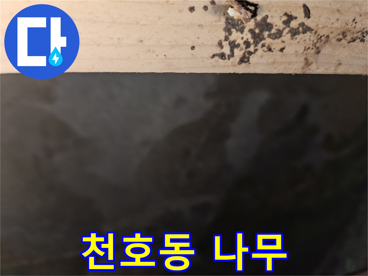 강동구 천호동 누수 - 나무 겉면 검은 반점 - 초기 점검 필요