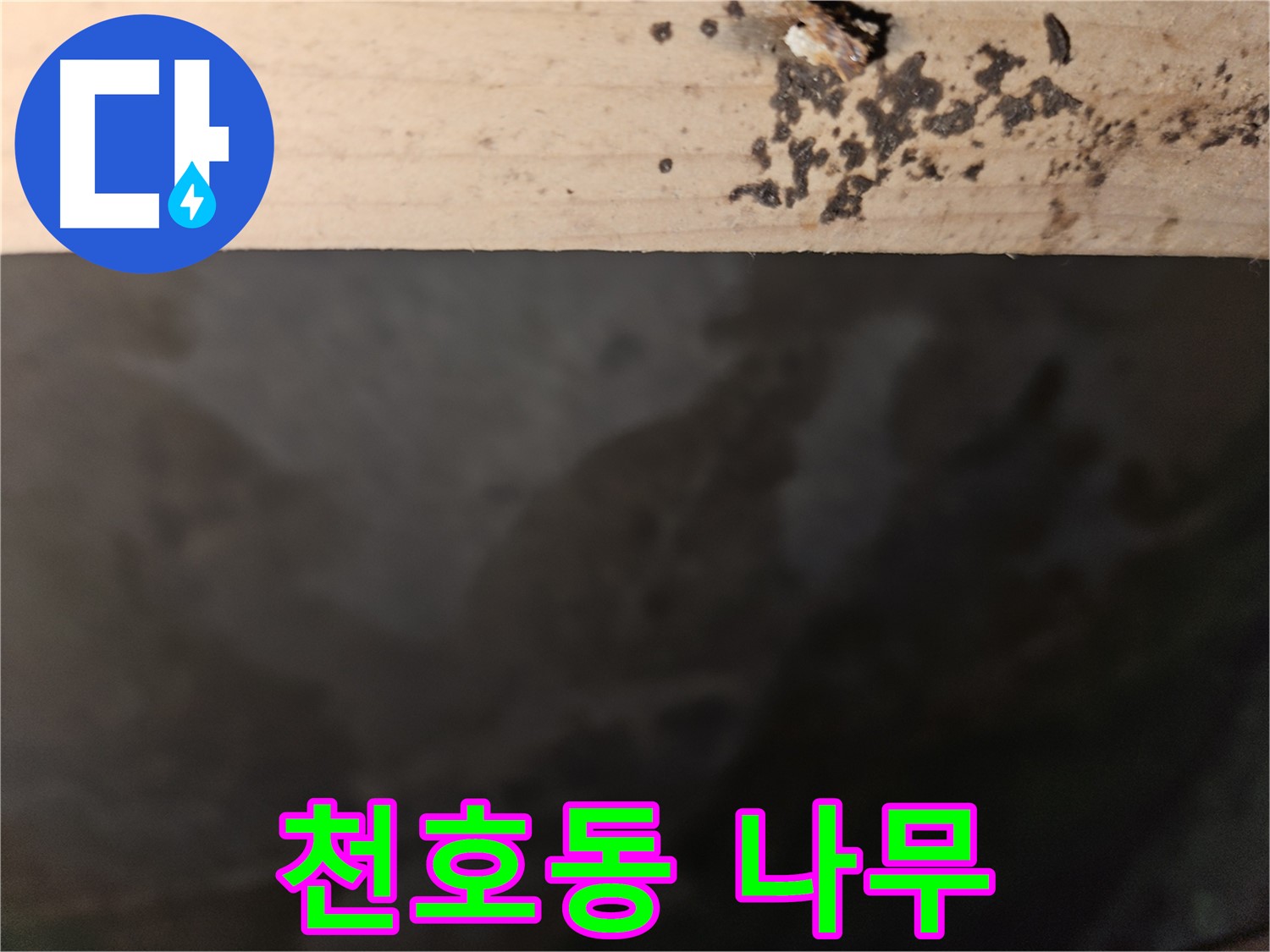 강동구 천호동 누수 - 나무 깊은 곳 얼룩 - 위험 경고