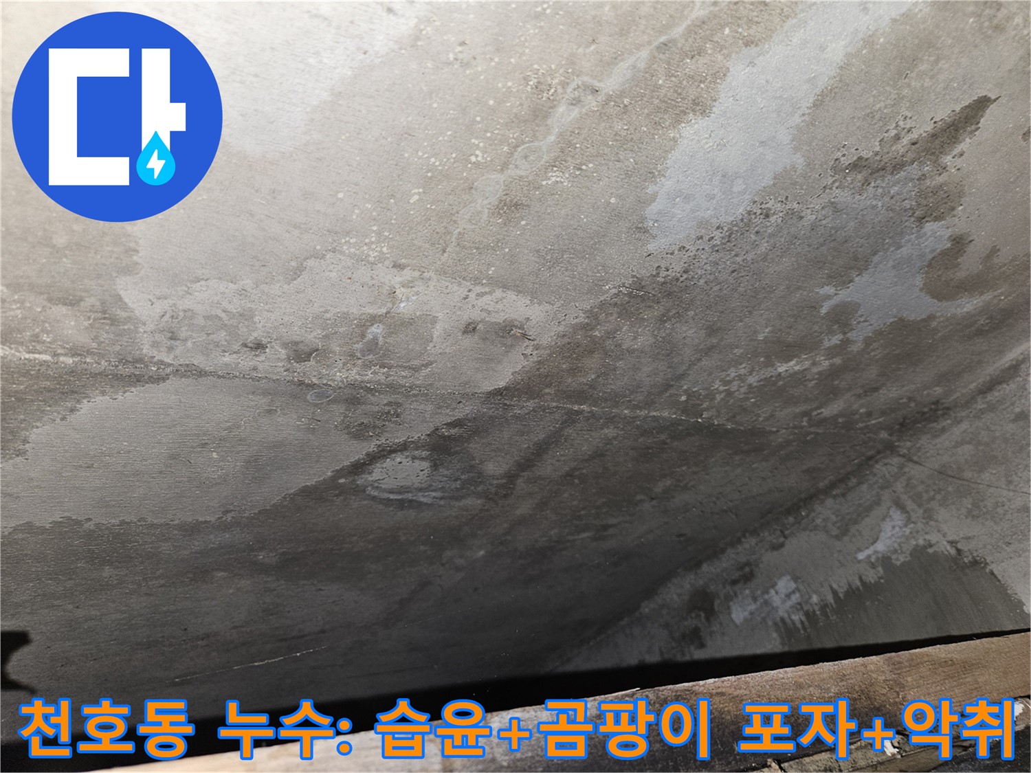 강동구 천호동 콘크리트 누수 - 습윤, 곰팡이 포자, 악취는 심각한 오염