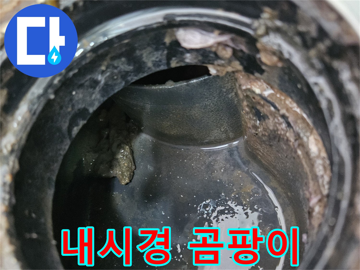 배관 누수 - 내시경으로 보니 곰팡이가 가득