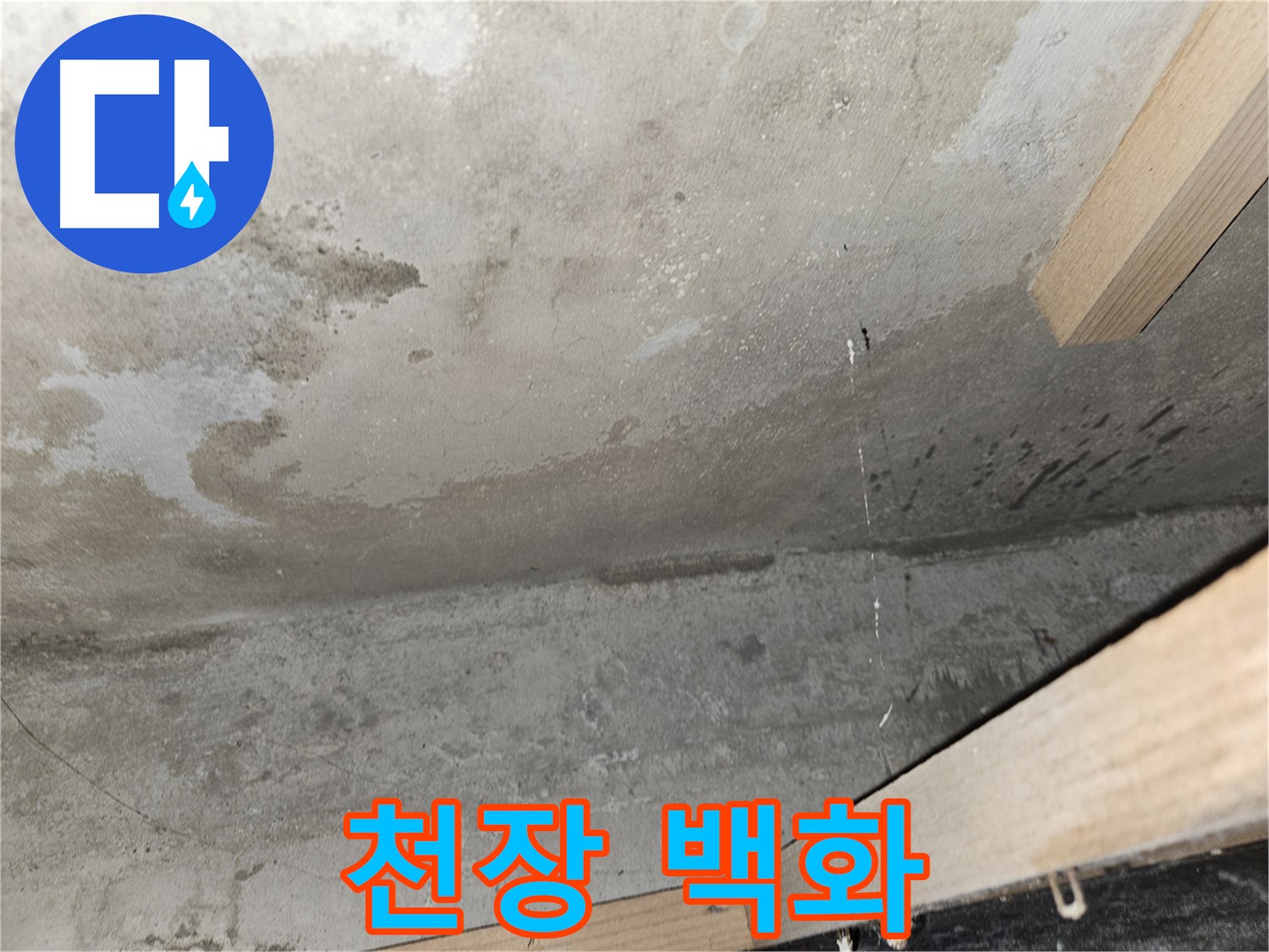 천장 백화현상 - 콘크리트 표면의 흰색 가루 - 누수로 인한 석회 성분 용출.