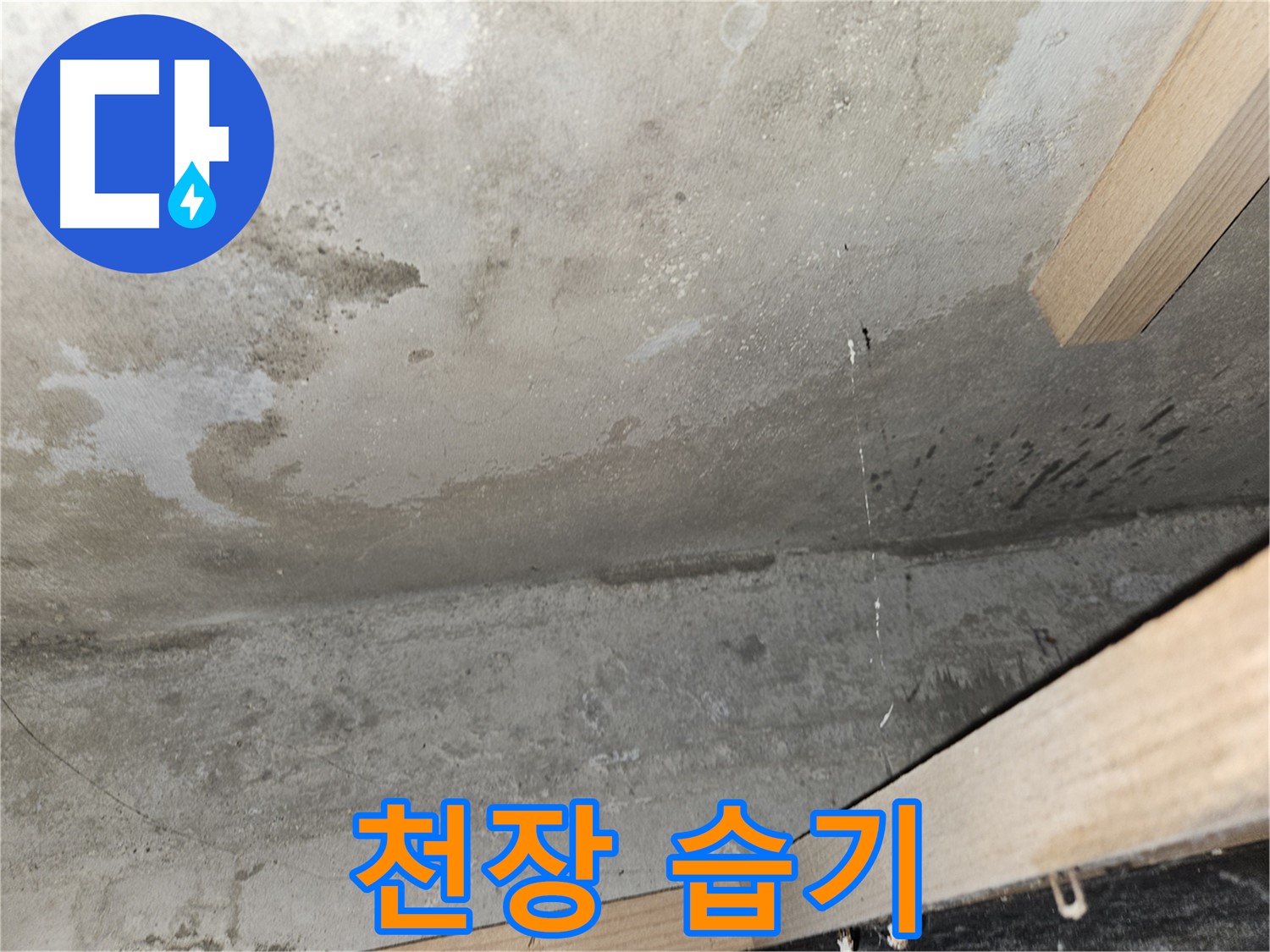 천장 습기 - 콘크리트 천장에 습기가 차 있는 모습 - 누수 초기 증상