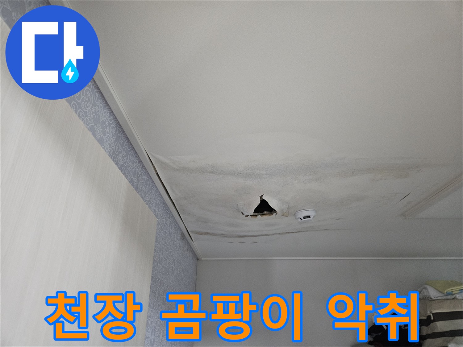 천호1동 누수 - 곰팡이로 뒤덮인 천장