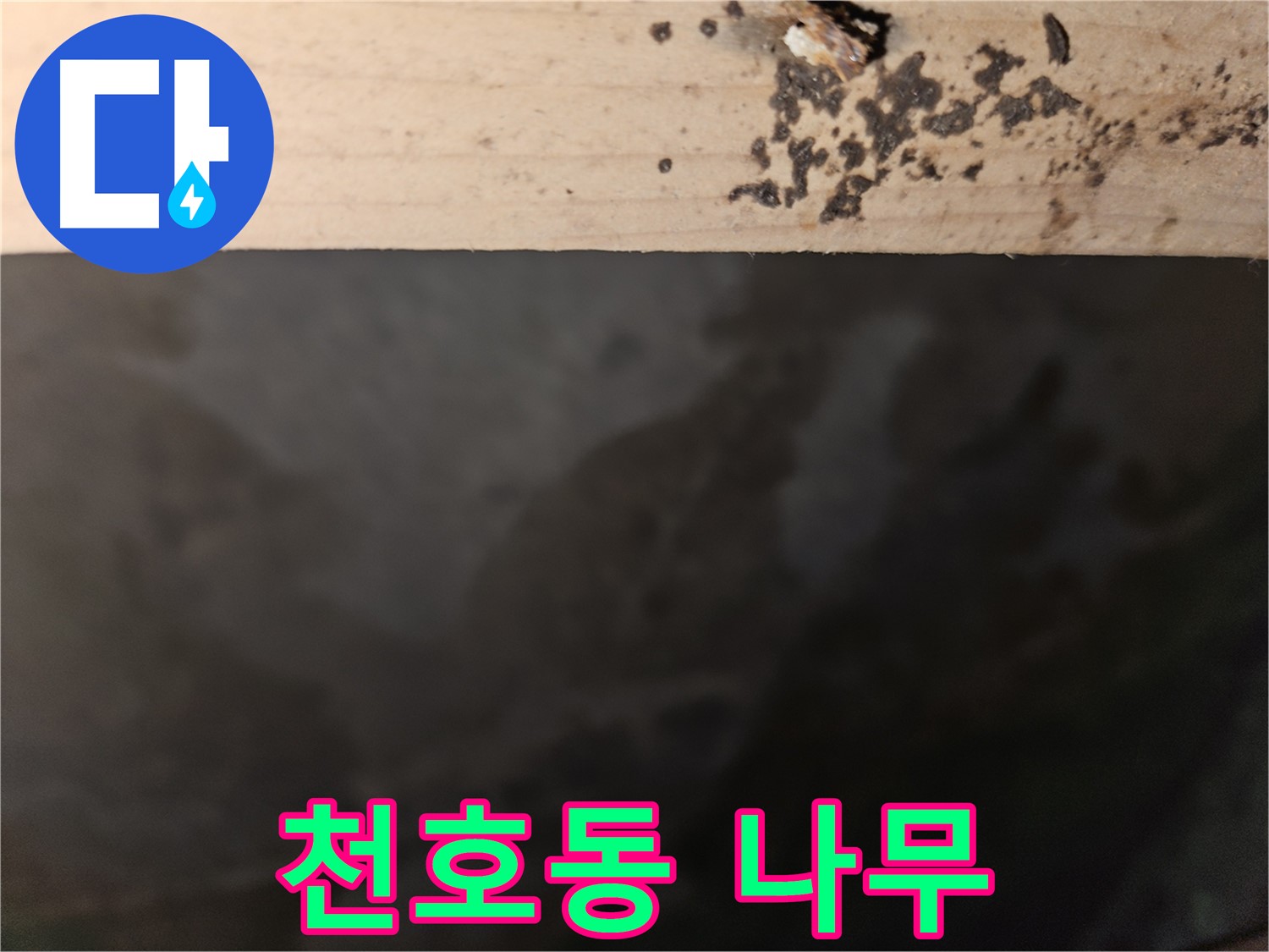 천호동 누수탐지 - 나무 겉면 곰팡이 분석 - 해결책