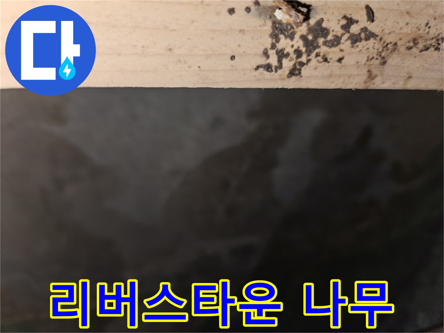 천호동 리버스타운 누수 - 나무 겉부분 반점 - 초기