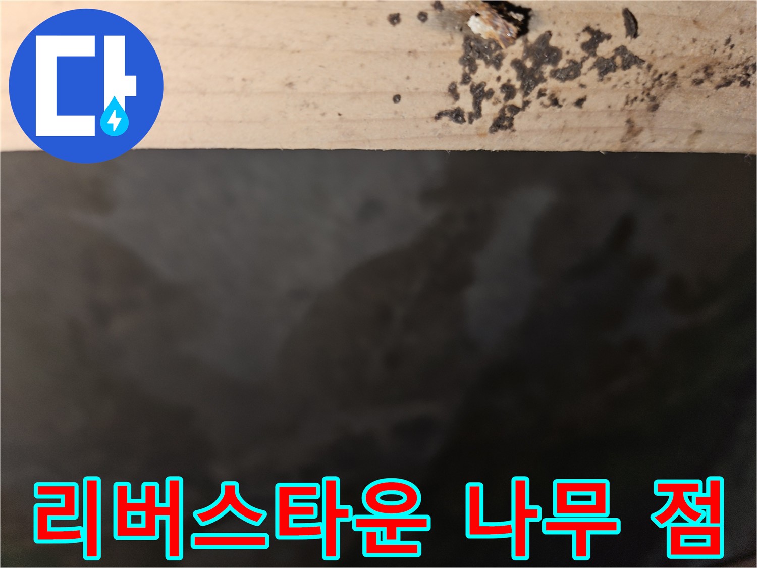 천호동 리버스타운 누수 - 나무 윗부분 점 - 초기