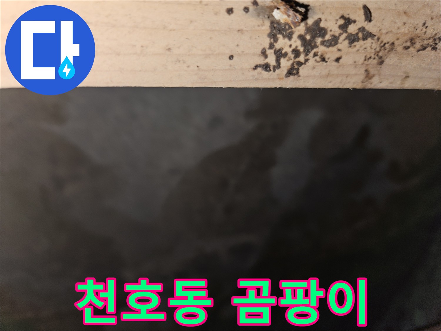 천호동 아파트 누수 - 곰팡이 초기 발견 - 건강 지킴이