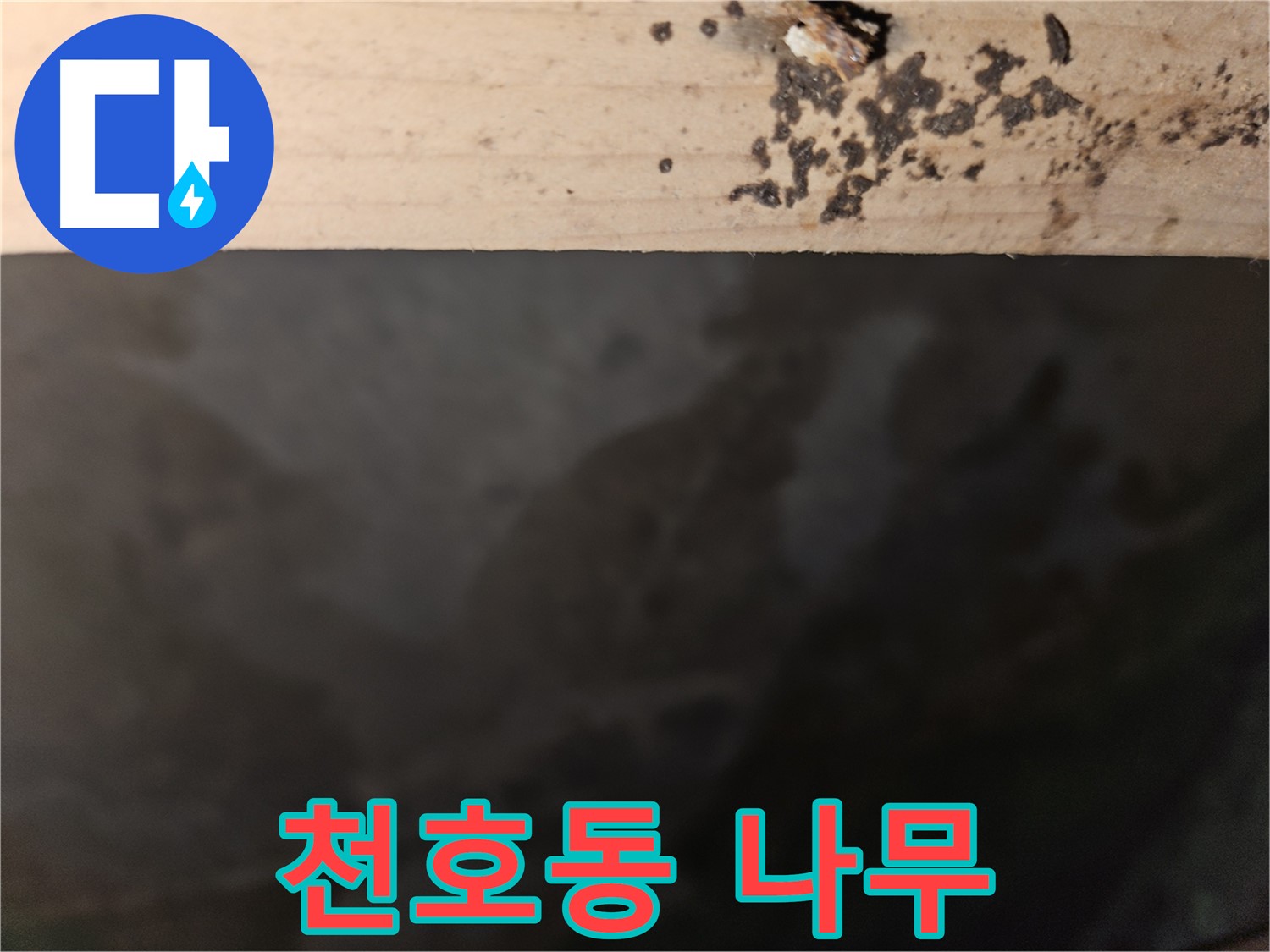 천호동 아파트 누수 - 나무 윗면 점 차단 - 최고