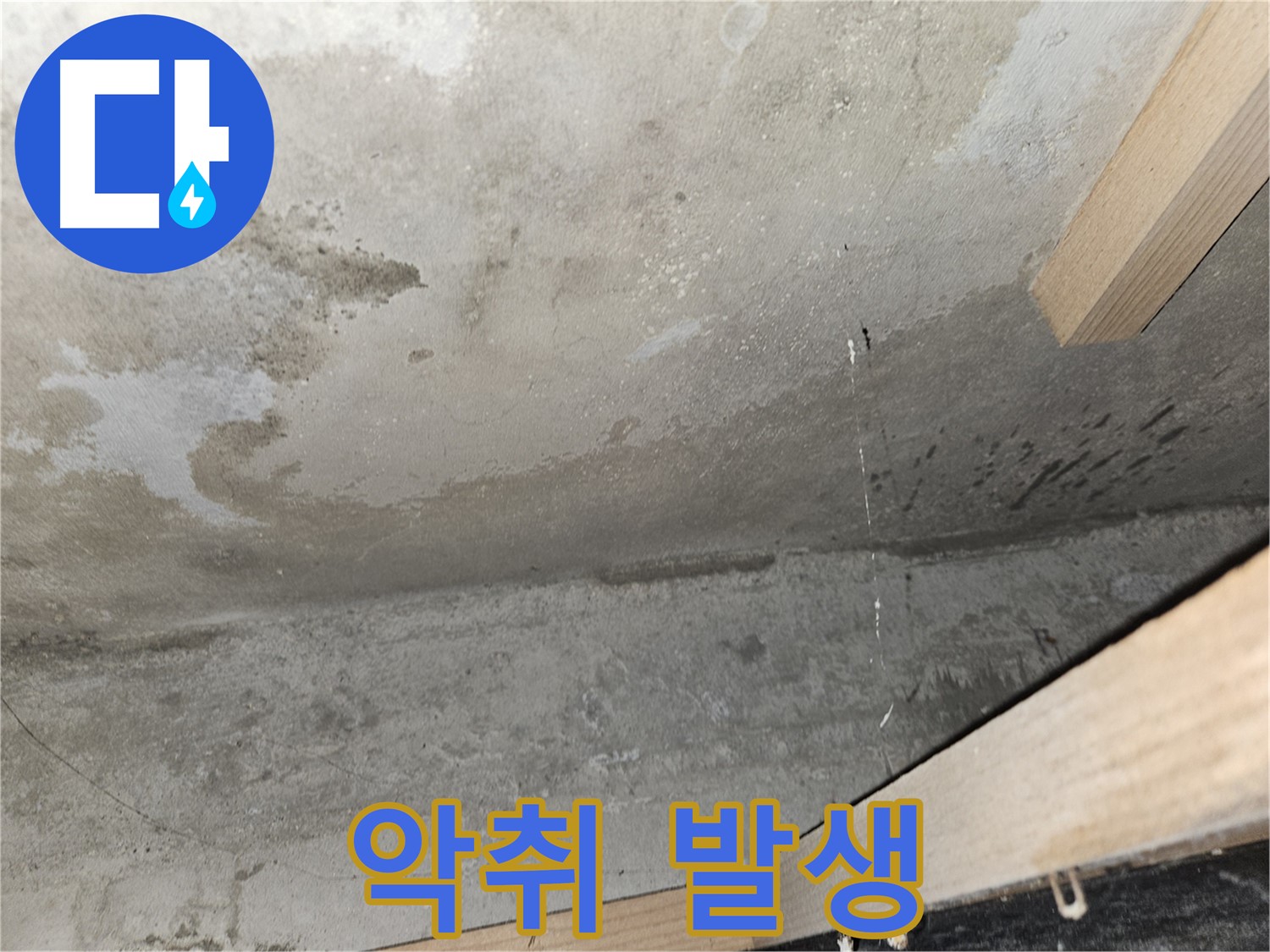 콘크리트 누수로 인한 악취 발생 - 누수로 인해 곰팡이가 번식하여 악취가 발생하는 등 쾌적한 주거 환경을 파괴합니다.