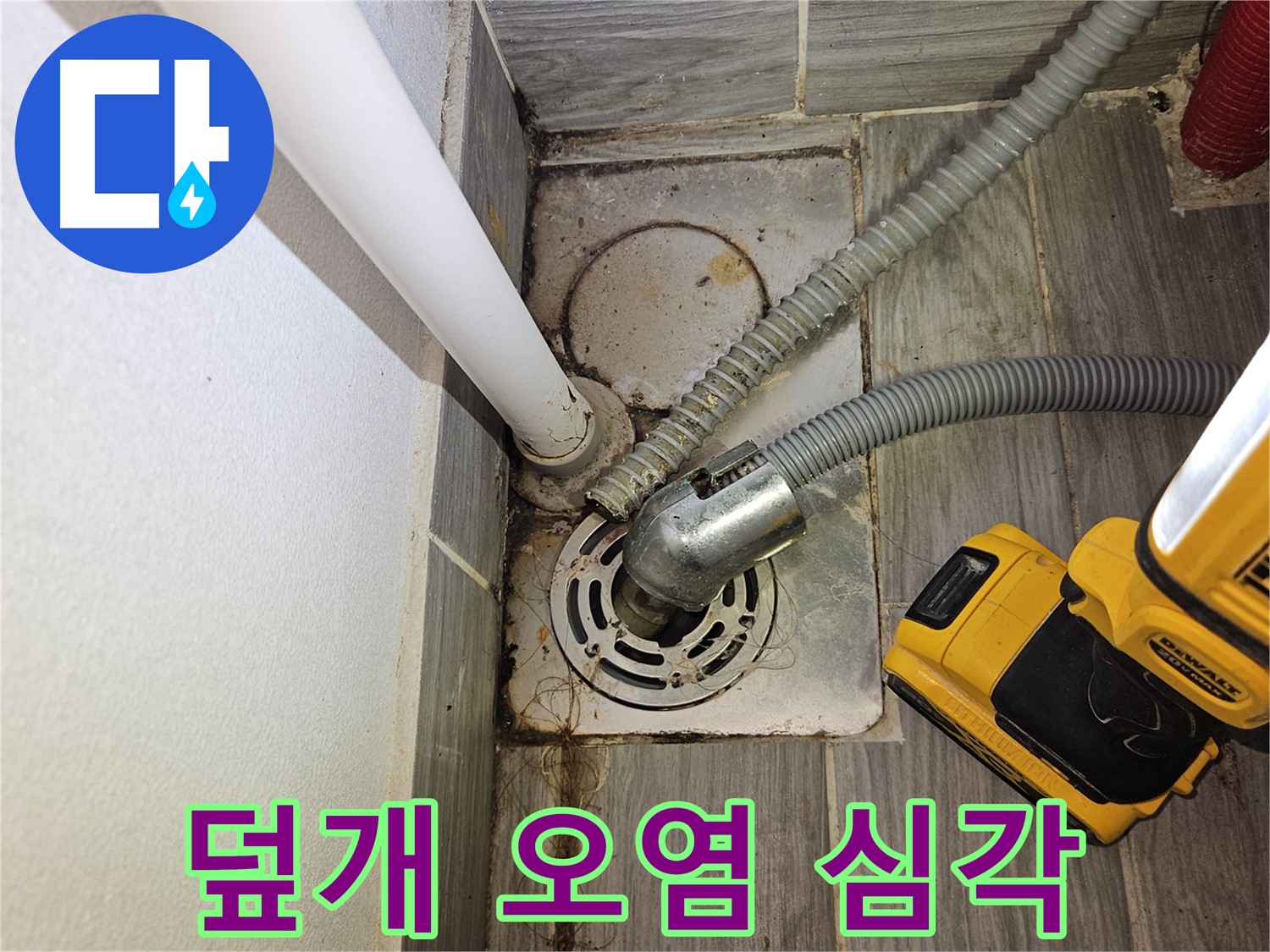 하수구 덮개 주변 찌든 때와 곰팡이 심각 - 악취 유발