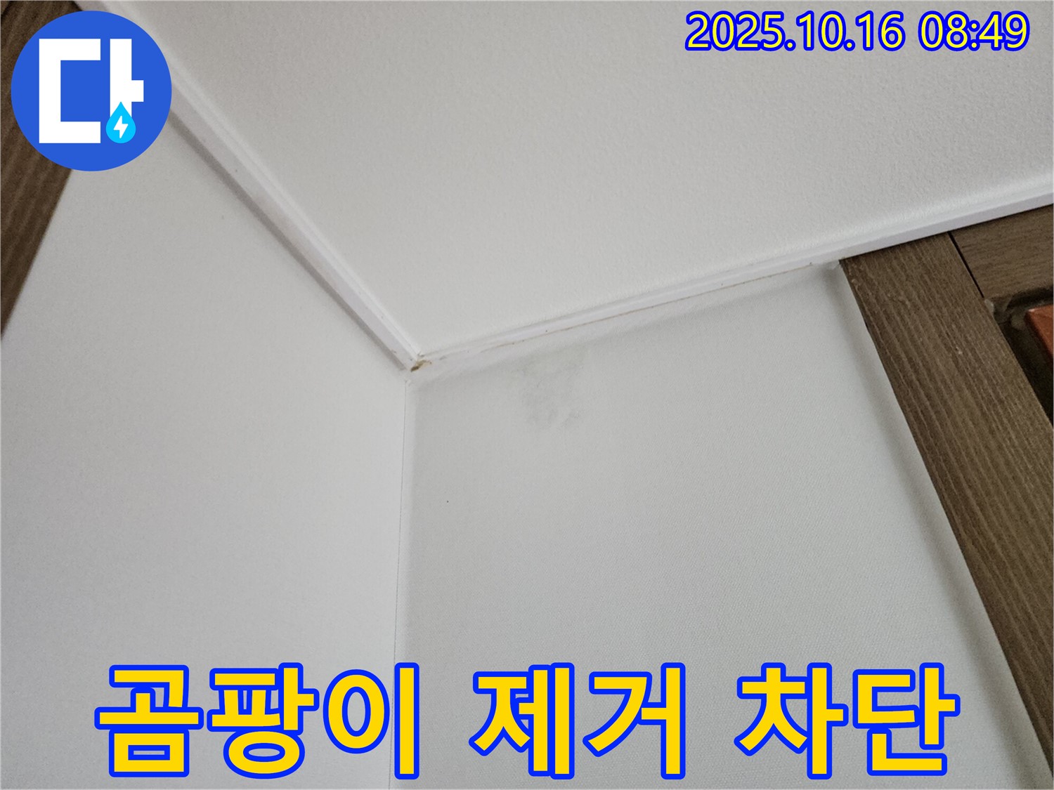 남면 경신리 벽 모서리 곰팡이 - 곰팡이 제거와 재발 방지 시공으로 건강한 공간을 만들어 드립니다.