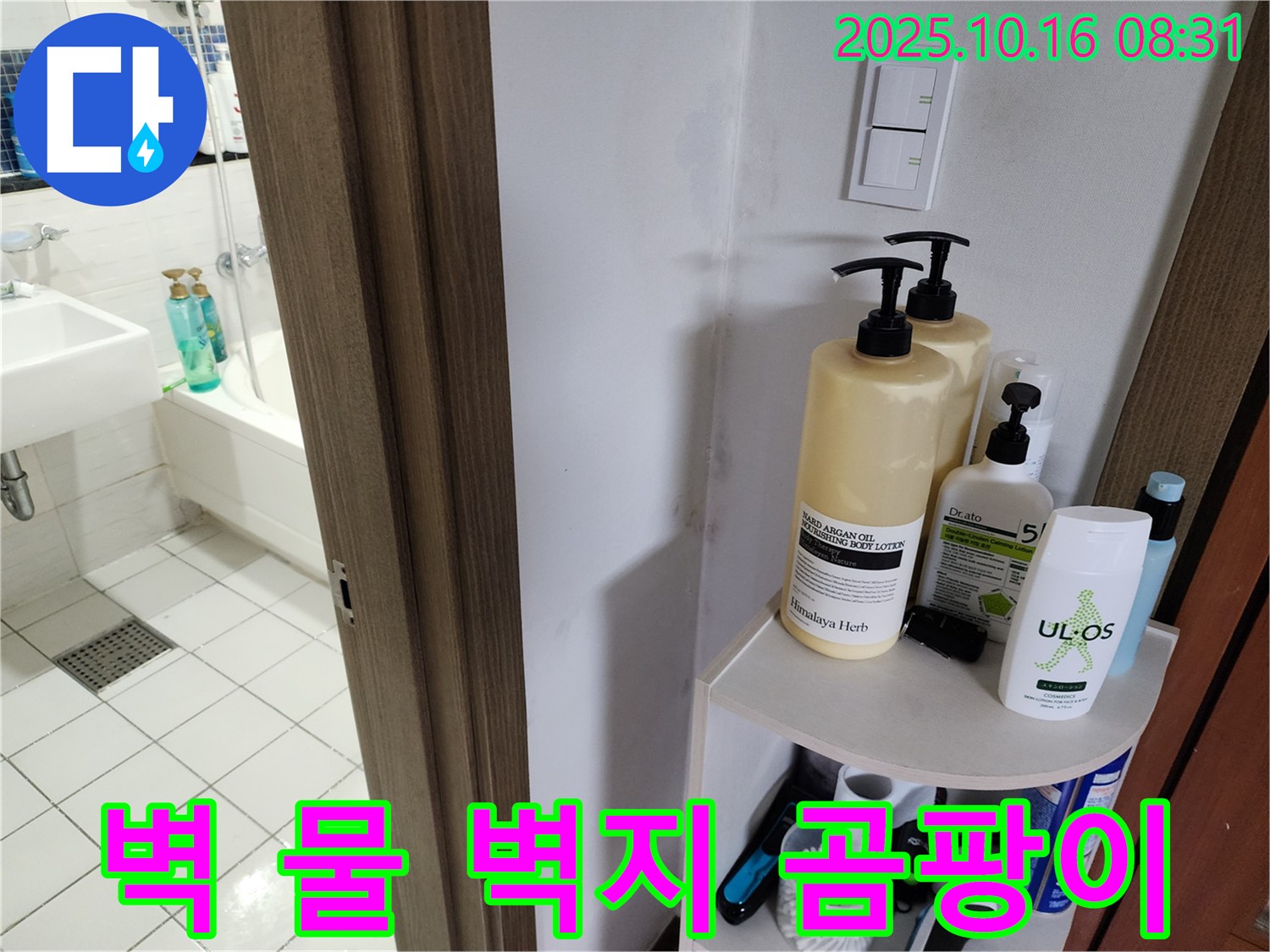 양주 경신리 욕실 누수 - 벽 젖은 벽지와 곰팡이, 누수 의심