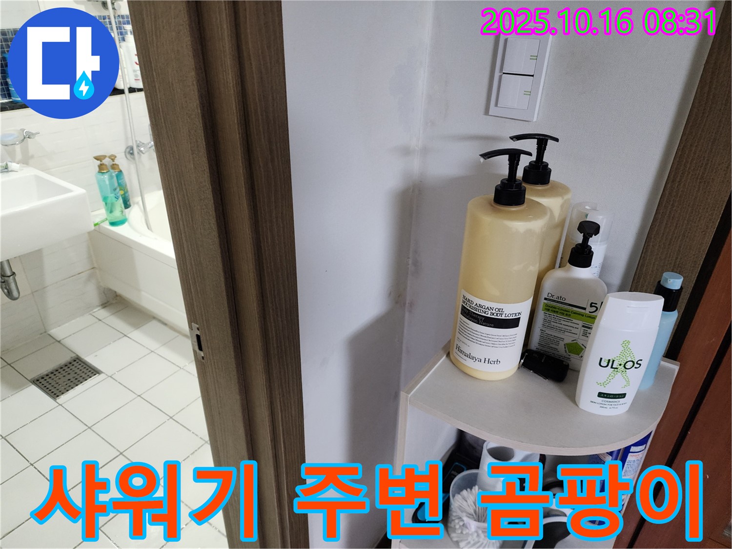양주 경신리 욕실 누수 - 샤워기 주변 벽 곰팡이, 방수 문제 점검