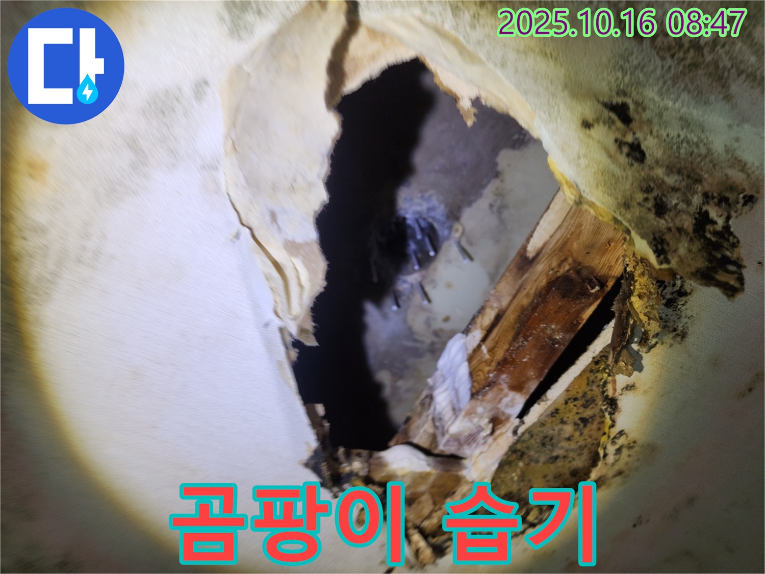 양주 남면 경신리 누수 - 천장 속 곰팡이와 습기 - 누수 진행 중, 빠른 조치가 필요합니다.