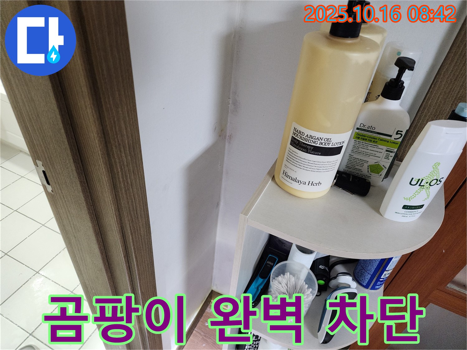 양주 남면 경신리 욕실 곰팡이 - 누수 문제 해결로 완벽 차단, 쾌적한 욕실로 변신!