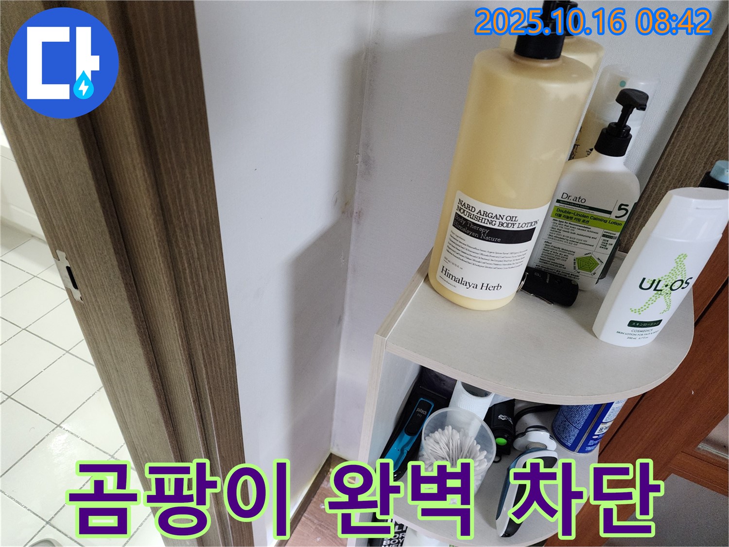 양주 남면 경신리 욕실 벽 곰팡이 - 누수 원인 해결로 완벽 차단! 쾌적한 욕실 유지!