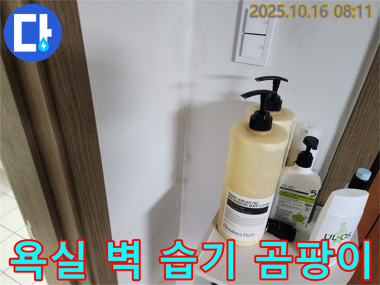 양주시 남면 경신리 - 욕실 벽 곰팡이 - 습기와의 전쟁을 선포하고 누수 해결