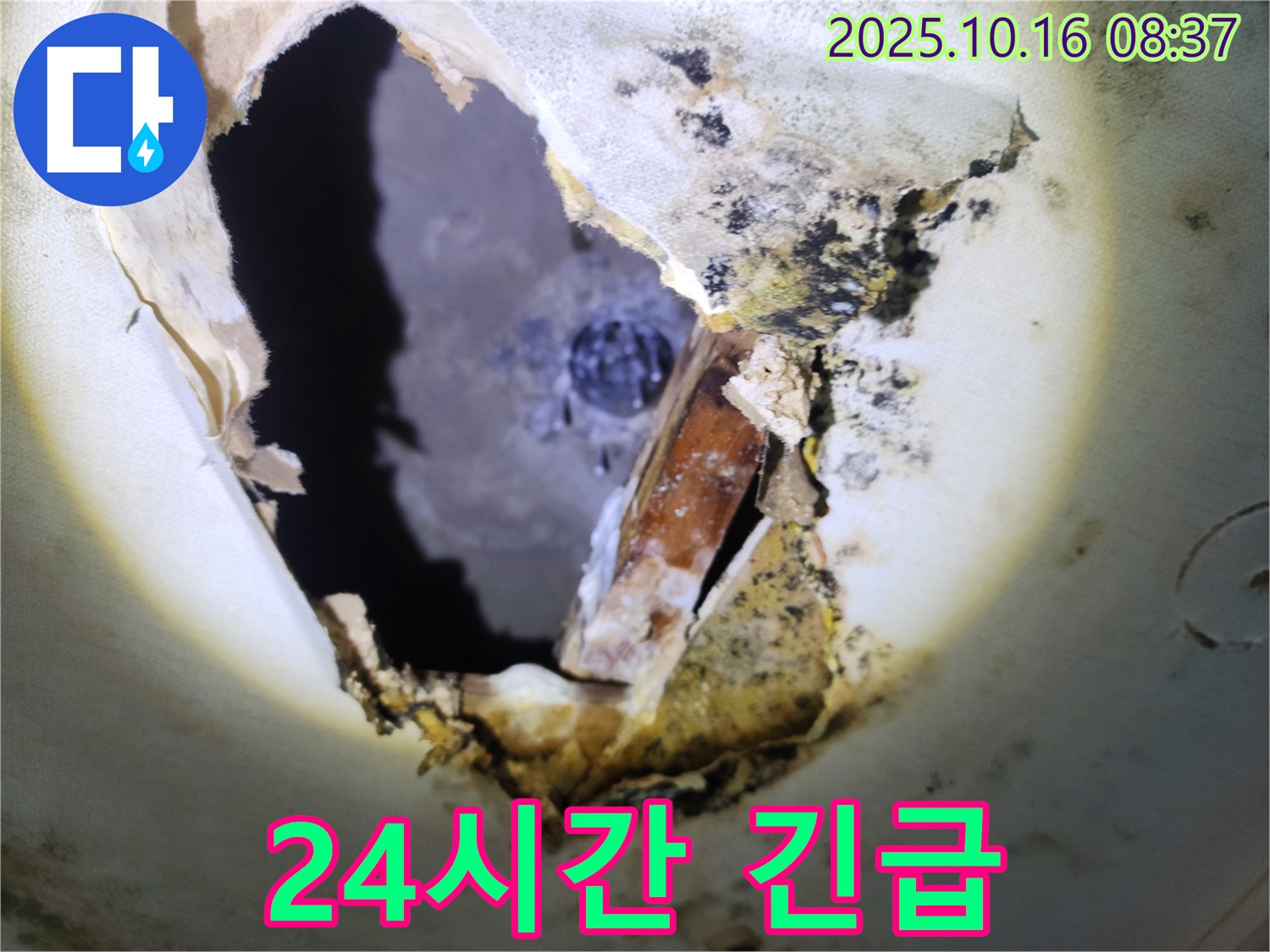 양주시 남면 경신리 주택 천장 - 곰팡이 천장, 24시간 긴급 방문 서비스!