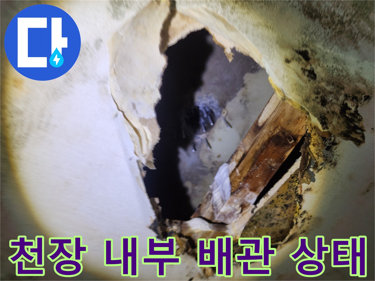 절개된 천장 사이로 보이는 습기 찬 배관 주변의 모습