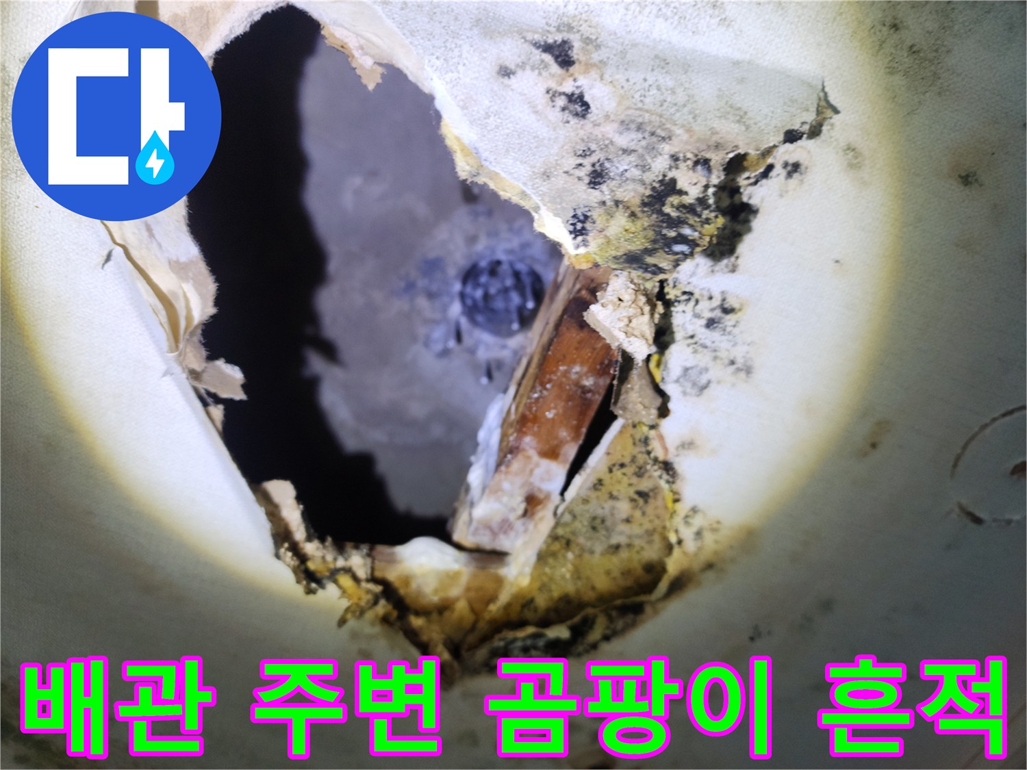천장 내부 절개 부위-물샘으로 인한 곰팡이와 자재 변형 상태