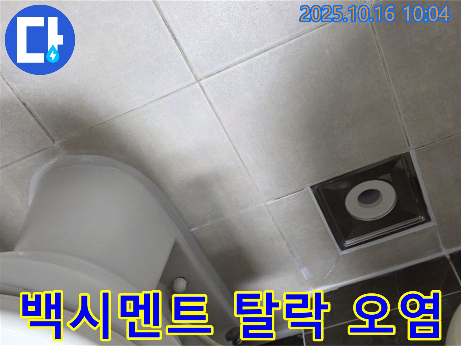 양주 옥정 율정마을 화장실 누수 - 변기 하부 타일 틈새 백시멘트 탈락 및 오염 진행중 누수