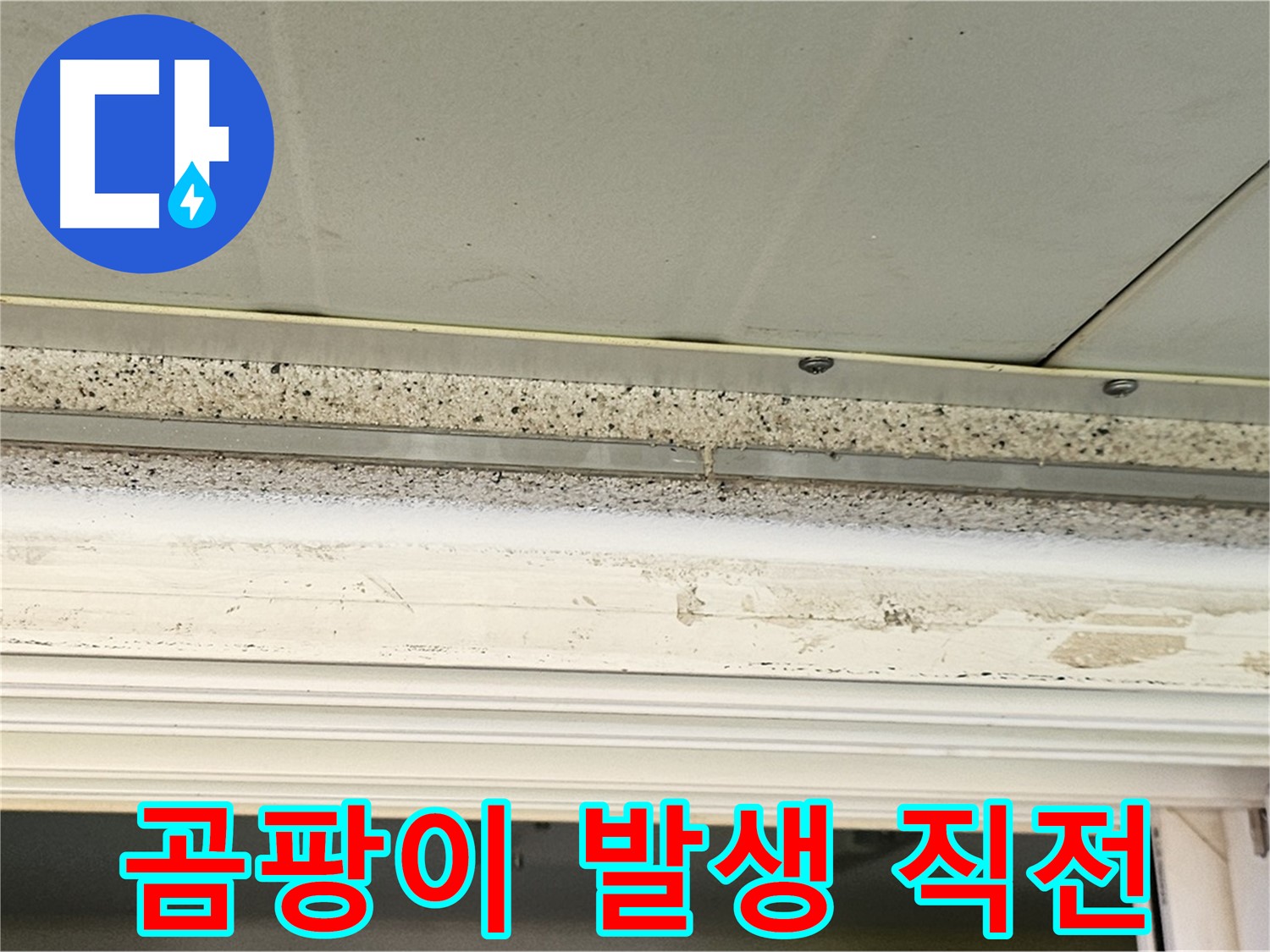 곰팡이 발생 직전 - 습기로 인해 곰팡이가 발생하기 직전의 문틀 모습입니다.