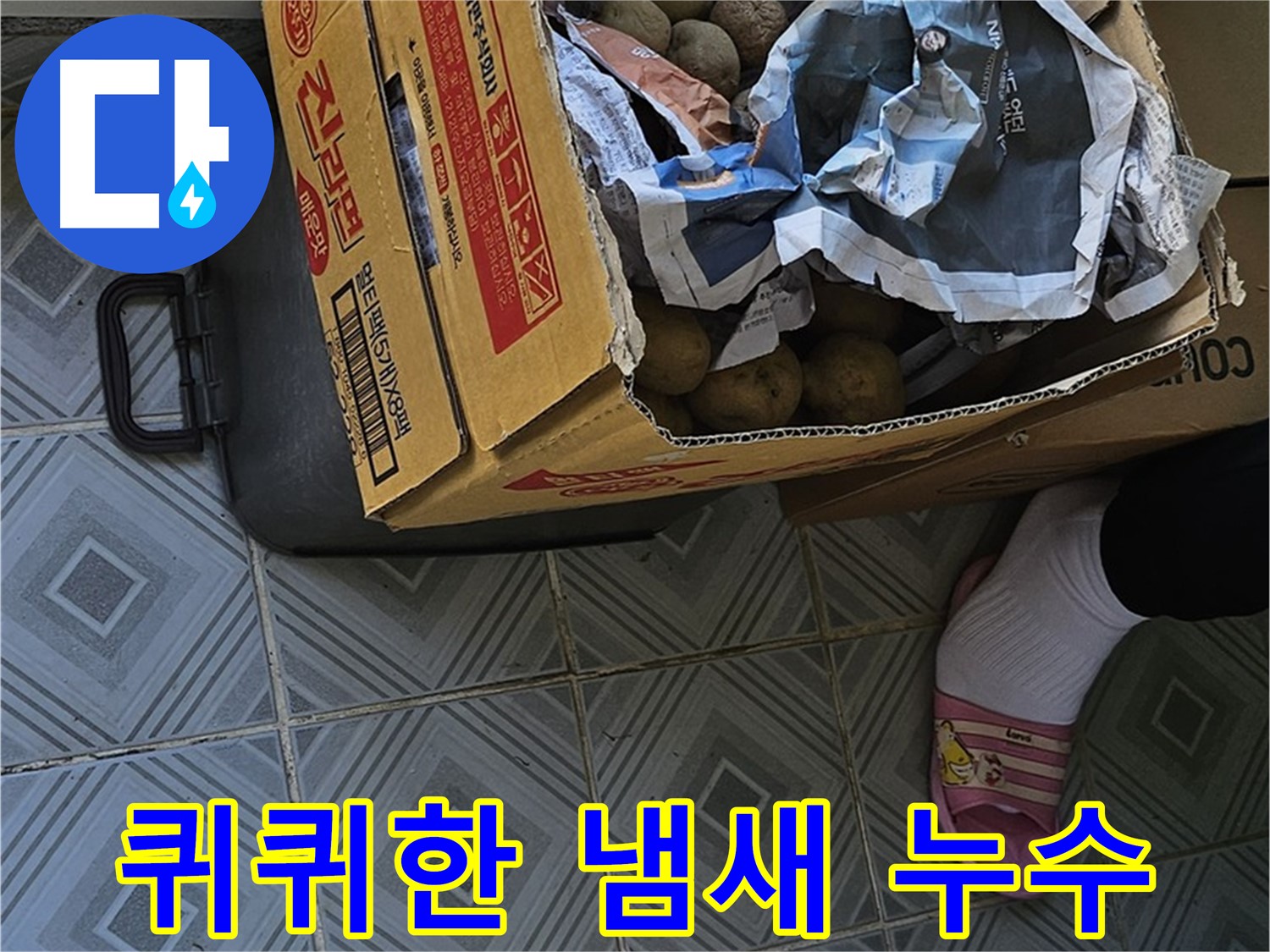 신월동 누수 현장 - 감자 박스 주변에서 퀴퀴한 냄새가 난다면 누수를 의심해야 합니다 - 즉시 전문가에게 문의하세요.