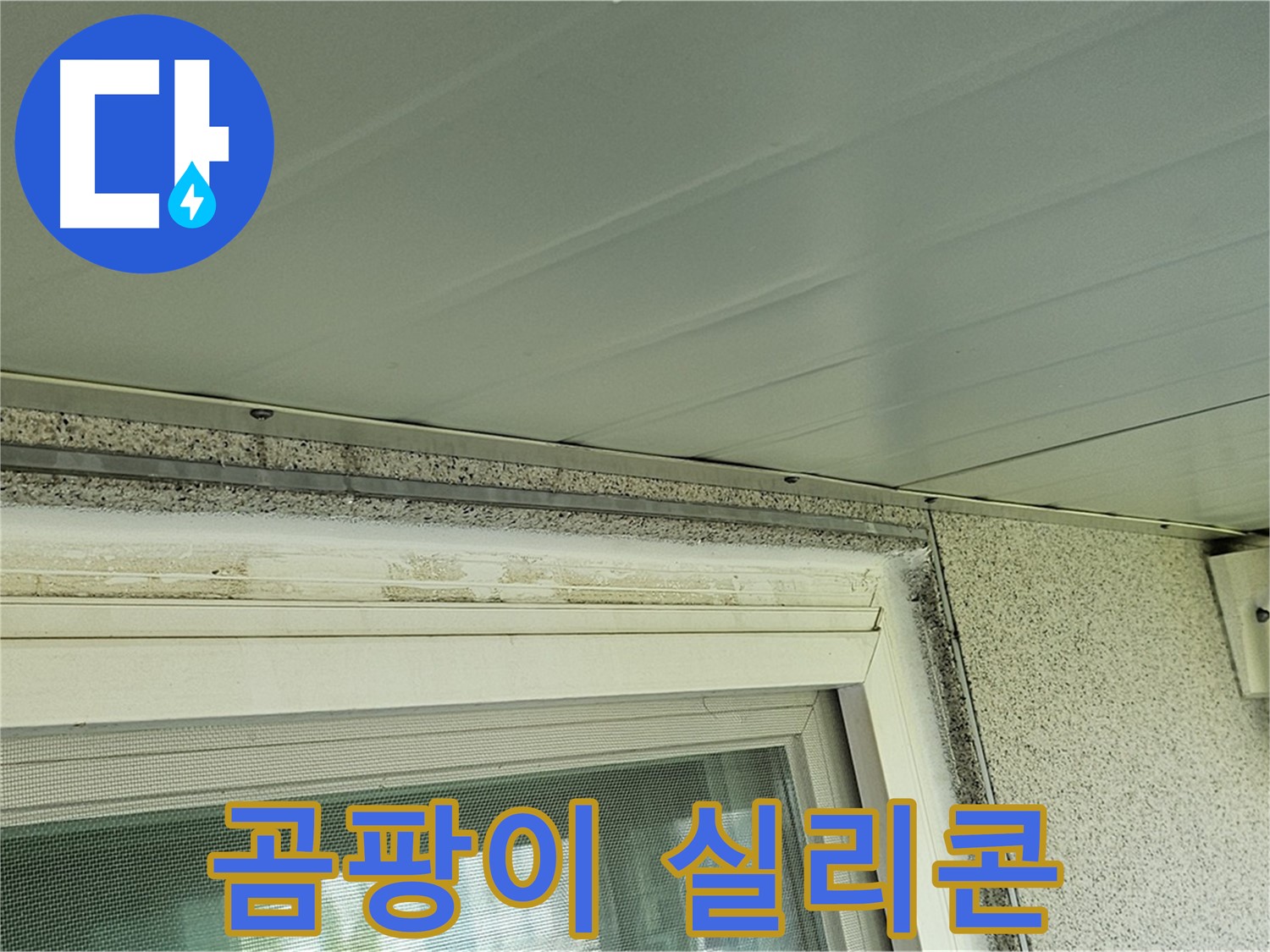 신월동 누수 현장에서 창틀 주변 곰팡이와 실리콘 손상을 확인하는 모습입니다.