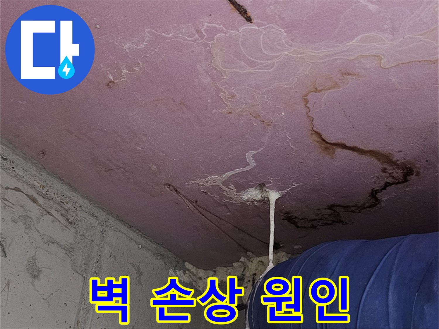 양천구 신정동 누수 - 벽 손상, 정확한 누수 원인 파악
